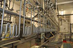 Pila kurs nurkowania