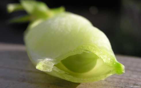 podlaskie ubojnia drobiu