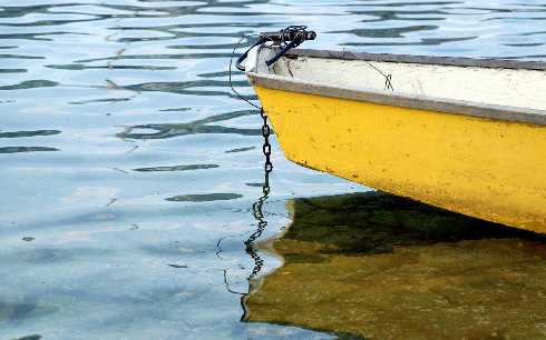 Wielkopolska ubojnia drobiu