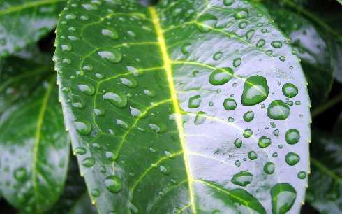 ubojnia kur województwo lubelskie