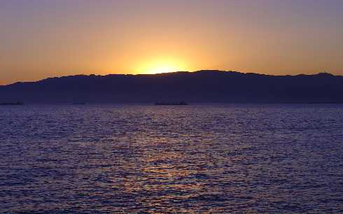 ubojnie drobiu Wielkopolska