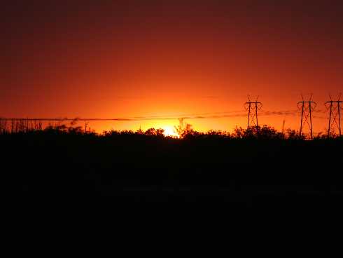 dolnośląskie rzeźnia kurczaków