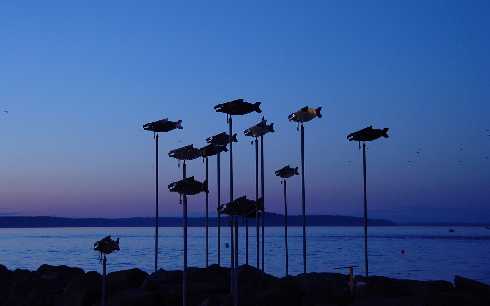 ubojnia drobiu Kowalewo Pomorskie