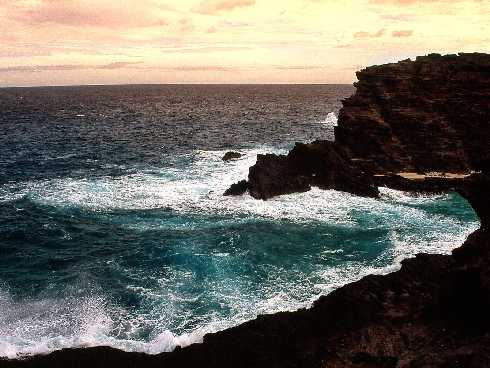 rzeźnia drobiu mazowieckie