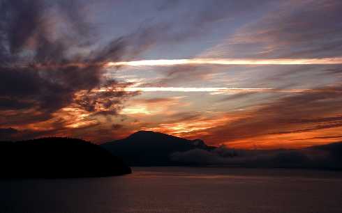 ubojnia kurczaków Lubniewice