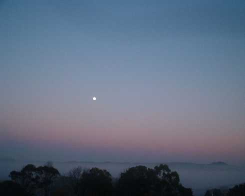 ubojnia drobiu strona www