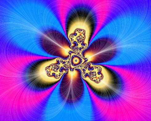 ubojnia drobiu Lubuskie