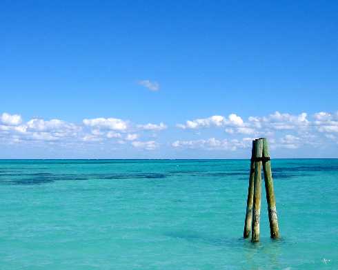 rzeźnie kurczaków warmińsko mazurskie