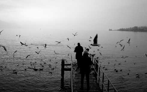 ubojnia drobiu Wielkopolska