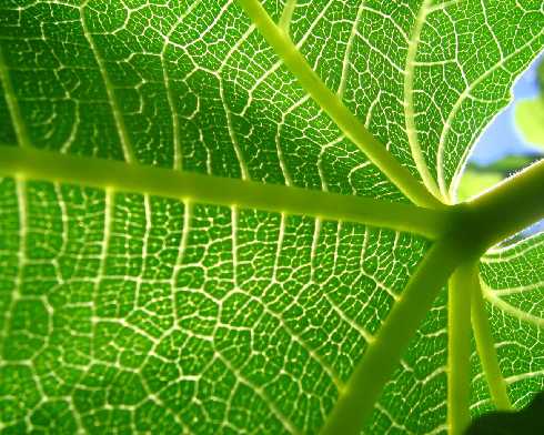 ubojnia kur województwo warmińsko mazurskie