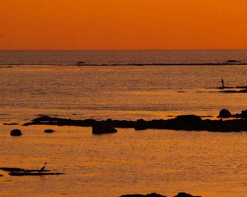 ubojnie drobiu lubelskie