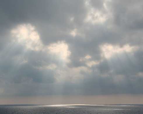 drobiu ubojnia tanio