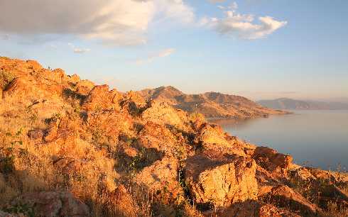 województwo warmińsko mazurskie rzeźnie kurczaków