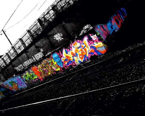 Wielkopolskie ubojnie drobiu