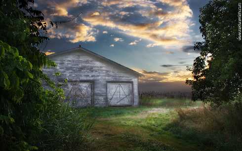 ubojnia drobiu Wielkopolska