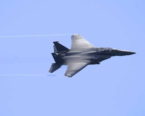 dystrybucja kurczaków Koszalin