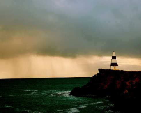 ubojnia drobiu cennik