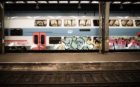 Wielkopolskie ubojnie drobiu