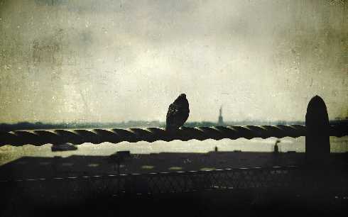 rzeźnie drobiu lubelskie