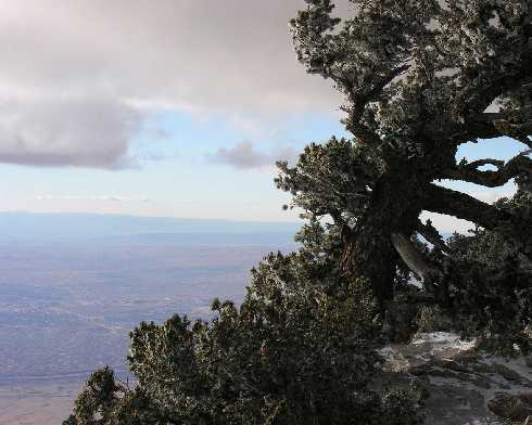 ubojnie drobiu Wielkopolska