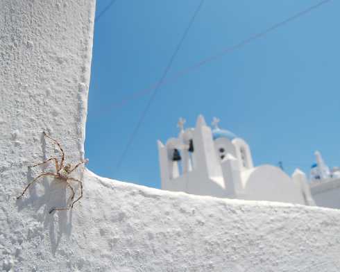 ubojnie drobiu Wielkopolska