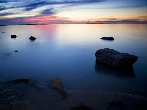 ubojnia drobiu woj. lubuskie