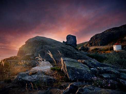 kurczak Krosno Odrzańskie