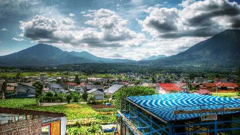 Poznań kurczaki dla hotelu