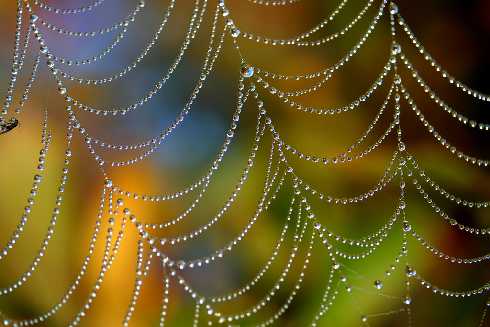 najlepsza ubojnia drobiu Wielkopolska