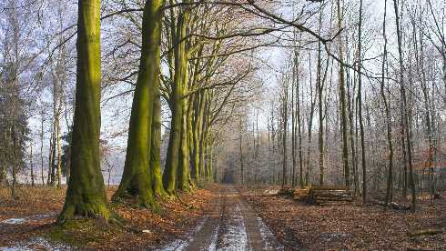 Wielkopolska ubojnia drobiu