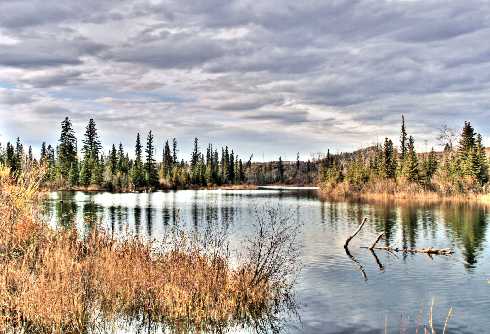 ubojnia drobiu Piła