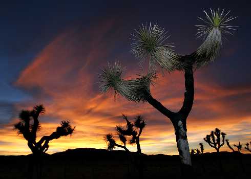 ubojnie drobiu Wielkopolska