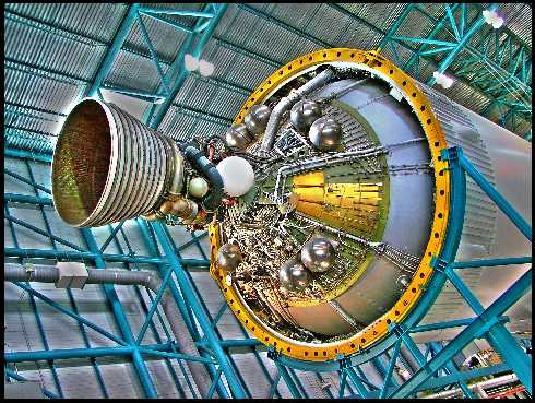 ubojnia drobiu popularna