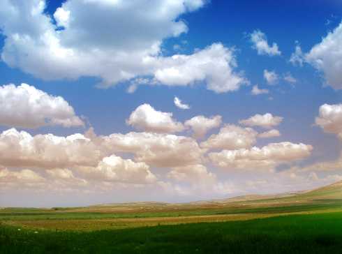 ubojnia drobiu świętokrzyskie