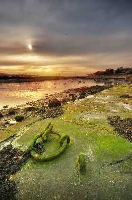 ubojnia drobiu Wielkopolskie