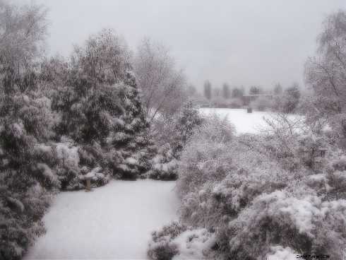 ubojnie kurczaków pomorskie