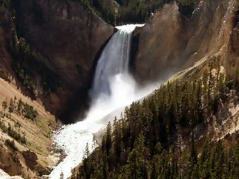 Ubojnia drobiu Wielkopolska