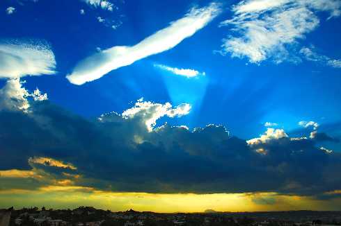 Poznań cały kurczak