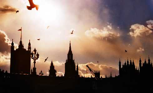 piersi z kurczaka Bydgoszcz