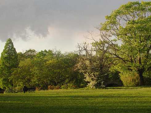 województwo wielkopolskie ubojnia kur