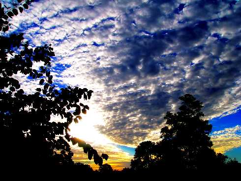 polecana ubojnia drobiu Wielkopolska polecana ubojnia drobiu Wielkopolska