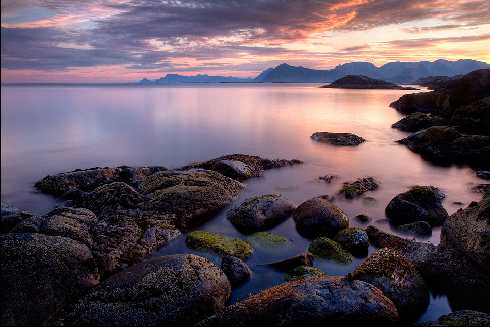 kurczak Gorzów Wielkopolski