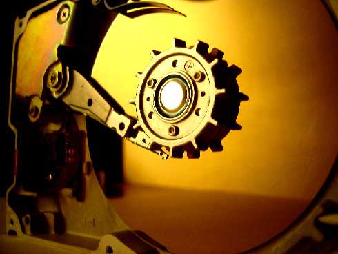 śląskie rzeźnia kurczaków