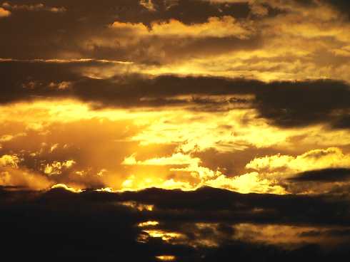 ubojnia drobiu Zbąszynek