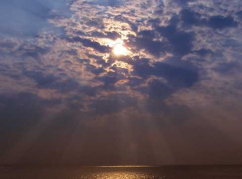 województwo kujawsko pomorskie ubojnia kurczaków