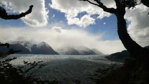 ubojnia drobiu popularna
