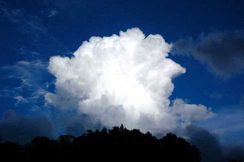 ubojnia drobiu strona