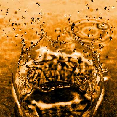 ubojnia drobiu Wielkopolskie