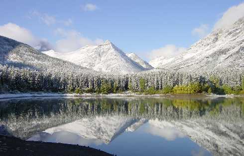 Wielkopolska ubojnia drobiu