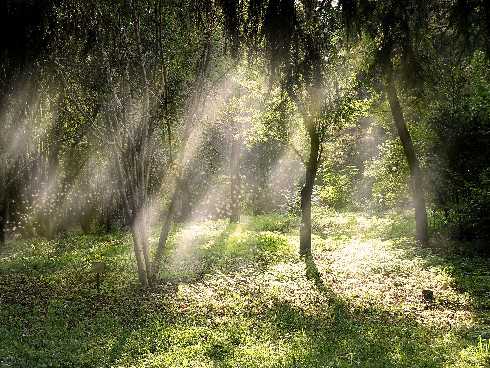 Wielkopolska ubojnia drobiu